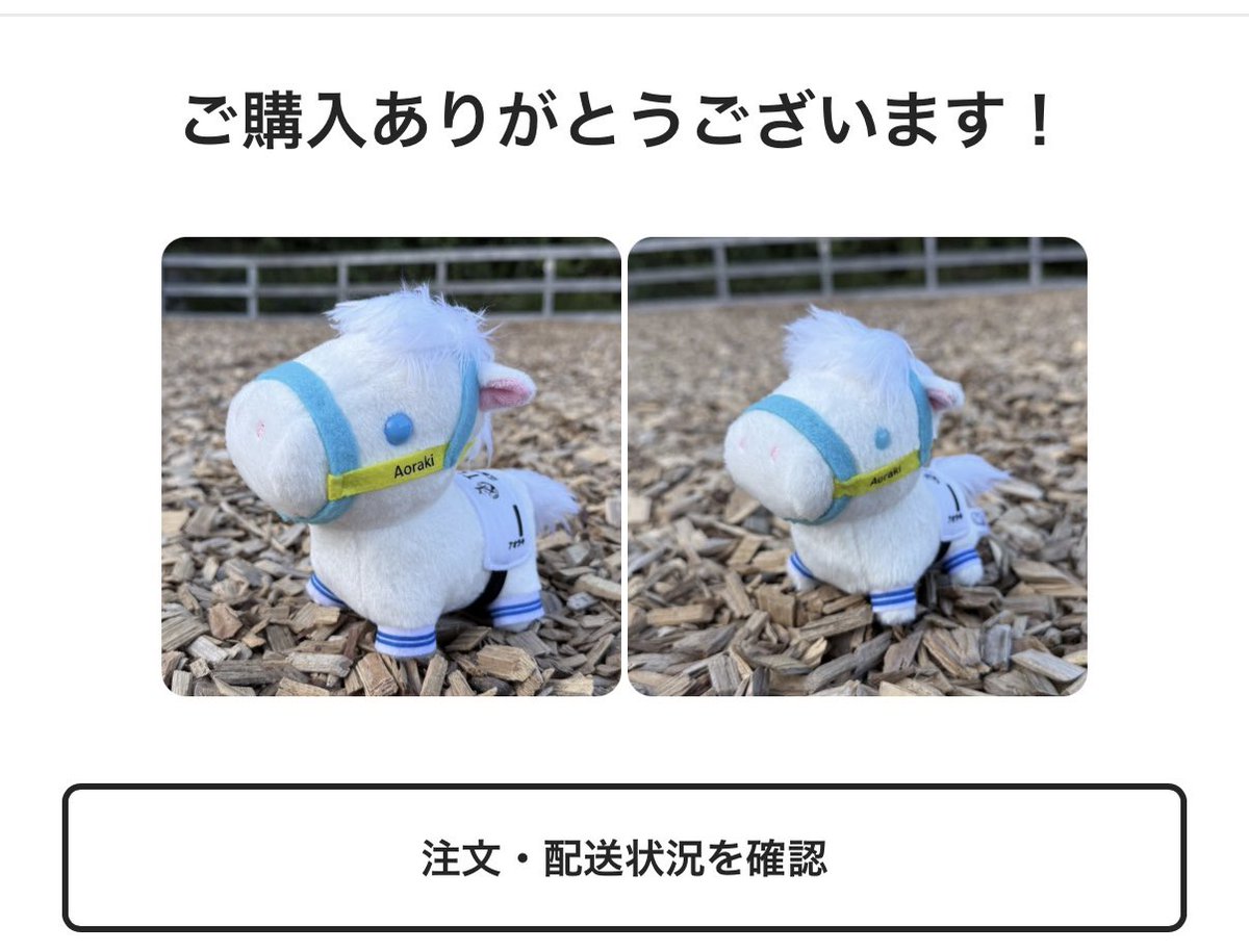 TCC 広報大使 アオラキくんのぬいぐるみ＆マスコット 注文しました