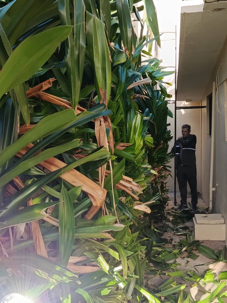 Cuba Ron S.A 🇨🇺 tweet media