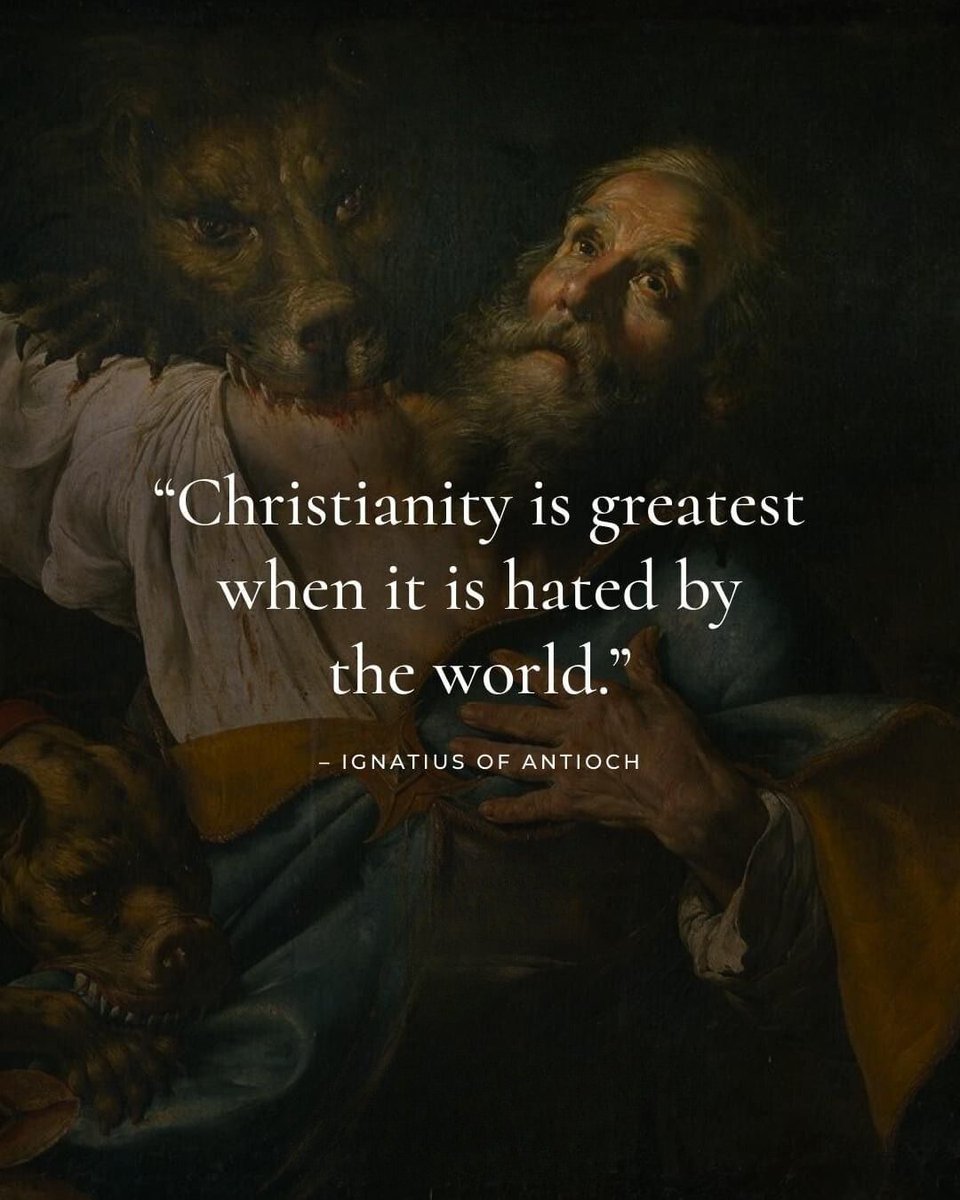 Darwin to Jesus tweet media