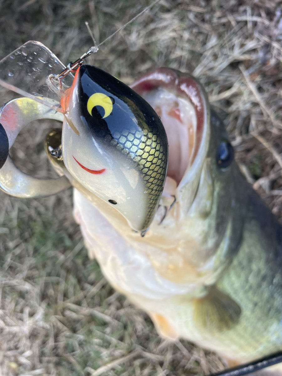 plotz_lure (@plotz_lure) / Posts / X