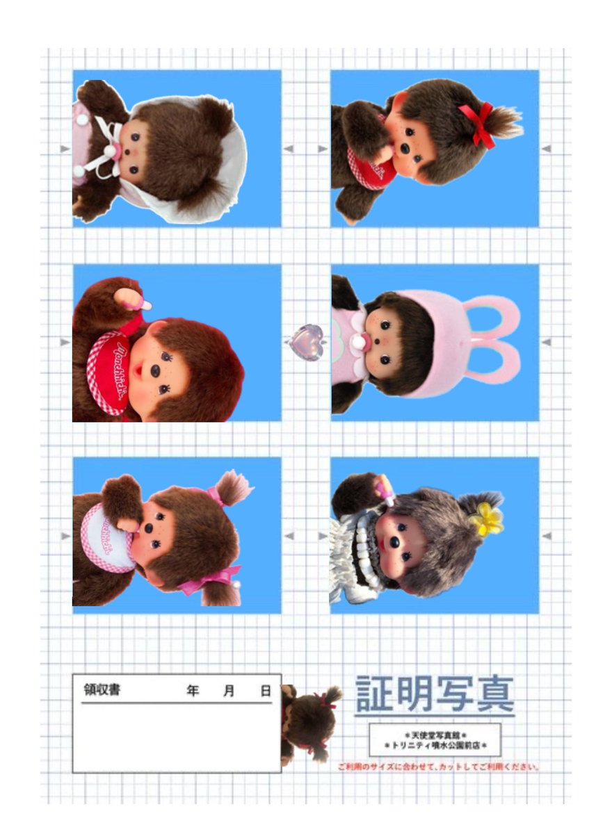 モンチッチの証明写真がかわいすぎる件について、、、