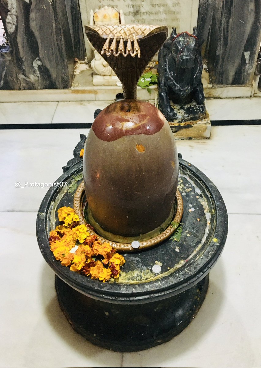 _Protagonist07's tweet image. सदा शिव, सर्वदा शिव!🕉️❤️

#harharmahadevॐ #GoodMorningEveryone