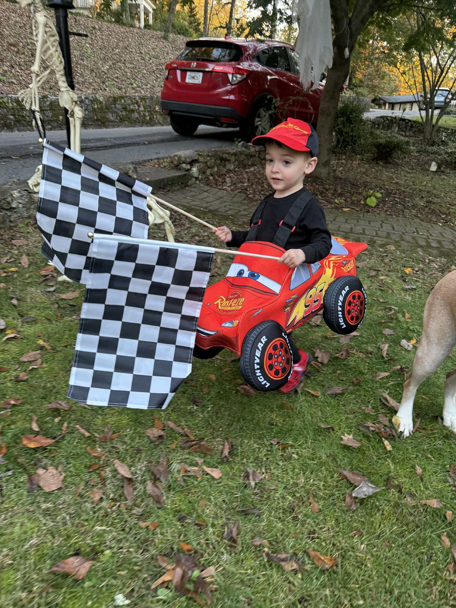 Peacock Queen tweet media