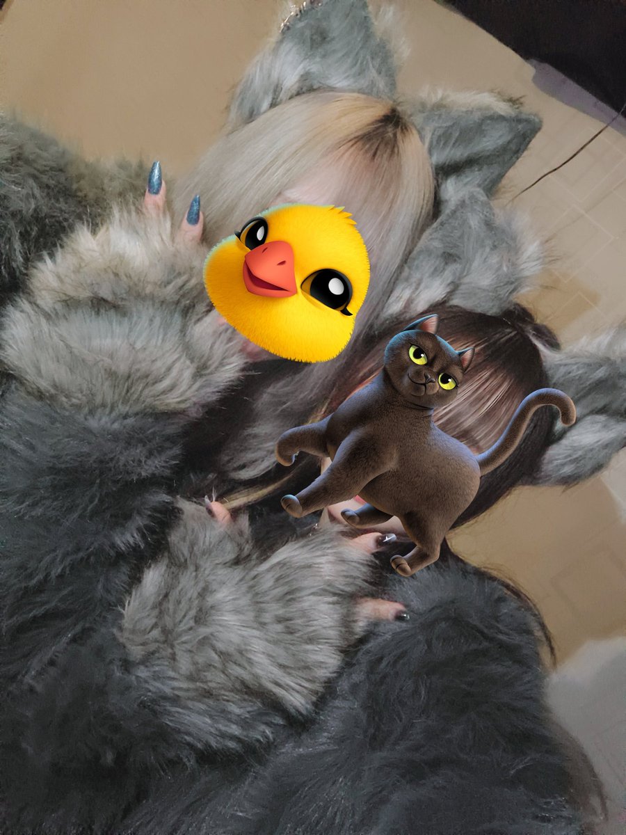 ハロウィンユナイト楽しすぎたああ！！
kyouさんが本当に異次元すぎて普通に直視できないし震えた😭似合いすぎ本当にかっこよかった大好きすぎる😭大感謝😭
みんなと沢山写真撮れて幸せすぎた！みんないた！！嬉しい！
ユナイト最高ー！kyouさんはえぐいしみんな可愛くて天才だったな目が助かった！！