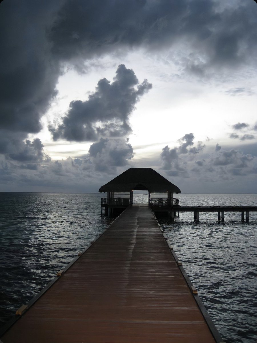 𝑭┃✪ (@20_78a) on Twitter photo 