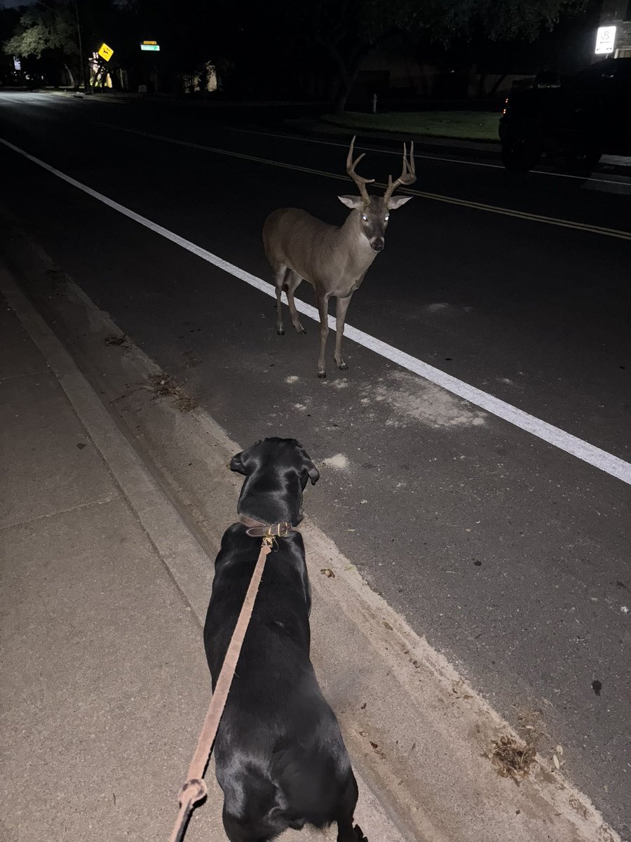 There are Signs  (real pic from tonight).