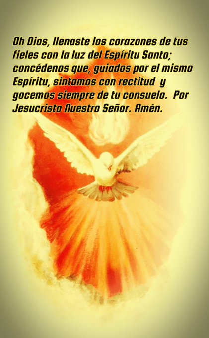 ¡VEN ESPÍRITU SANTO! PADRE DEFIÉNDENOS DE LA BESTIA...