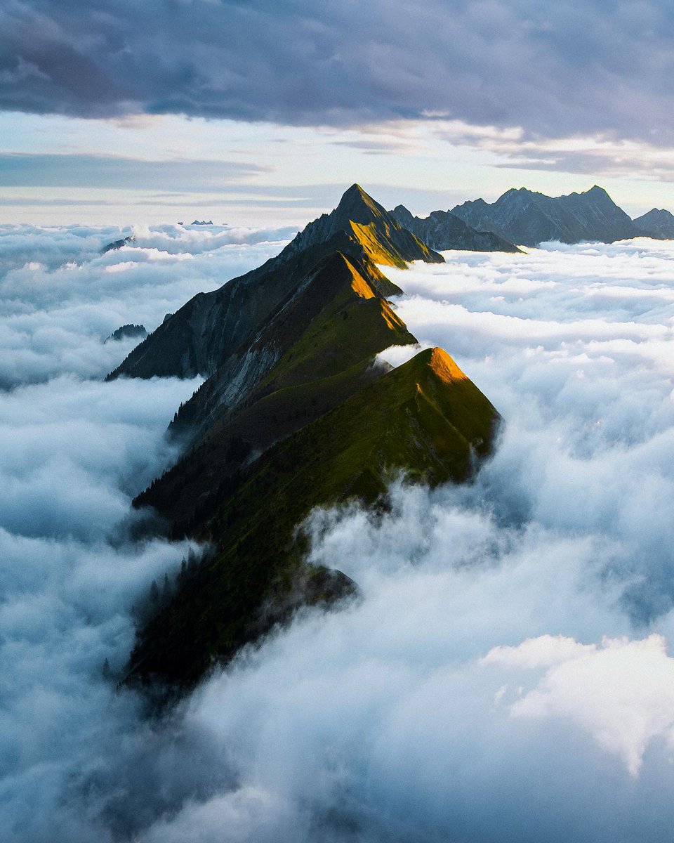 Time tries truth.🐿📮8287
watch time stay listen job strong phone plan voice people memory walk