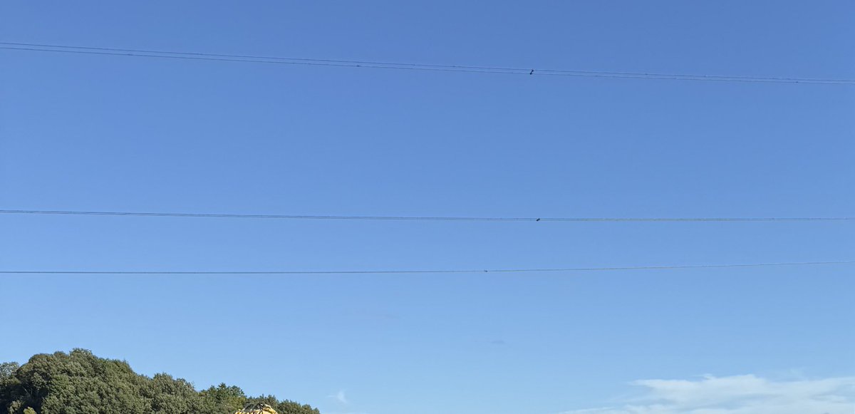 雨上がりの空は綺麗🤩