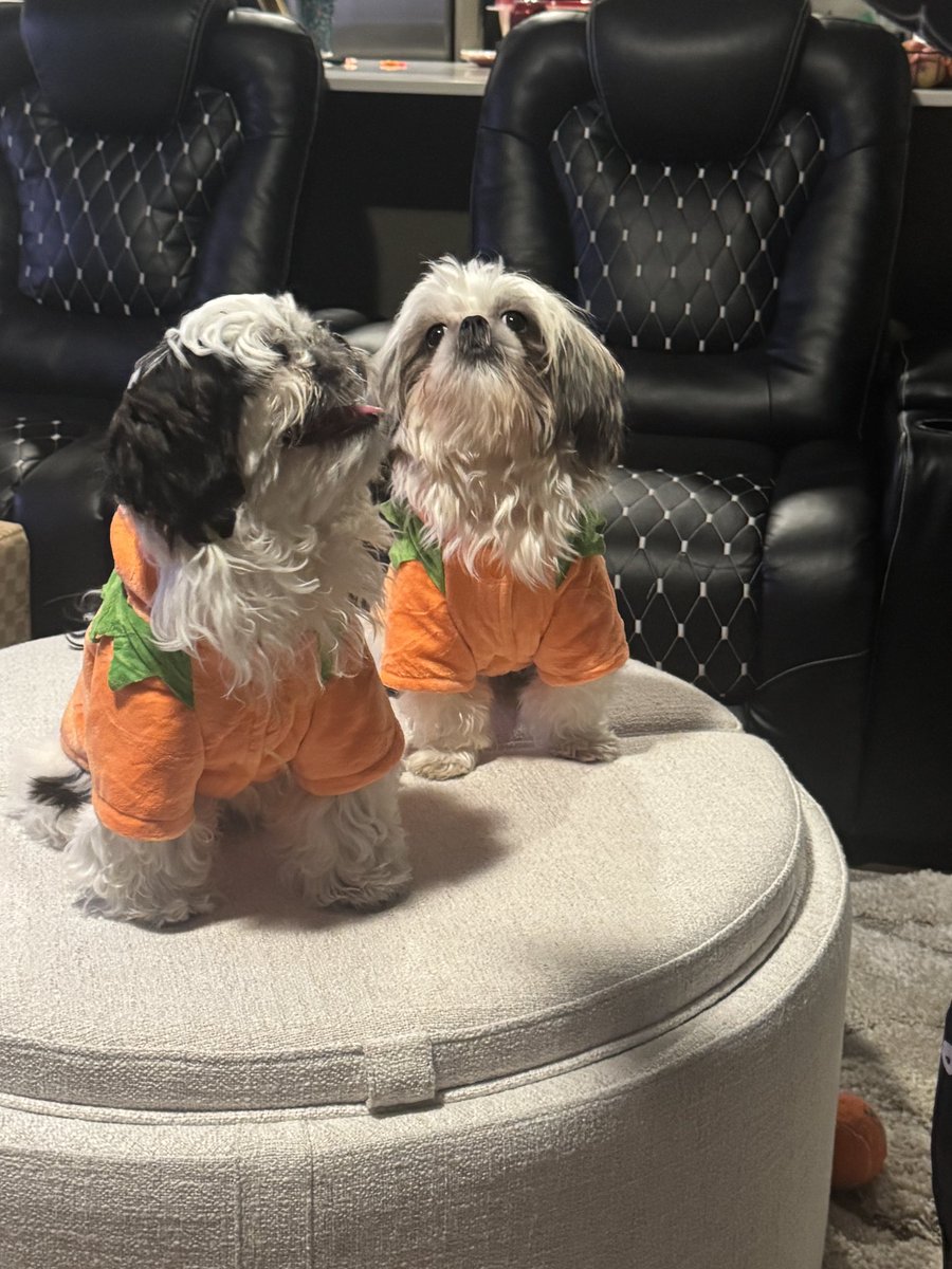 Ann Marie Ruby | Author tweet media