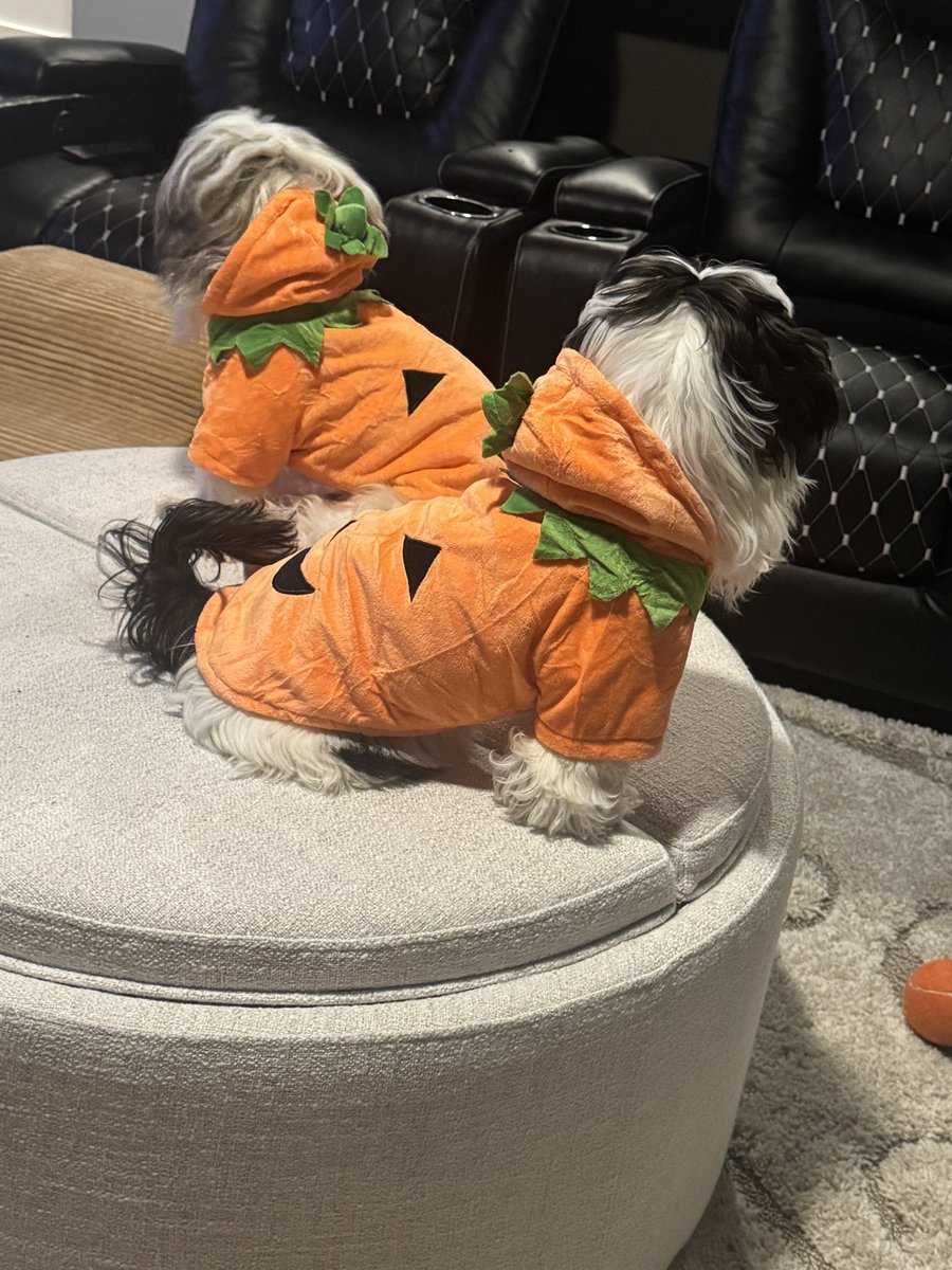 Ann Marie Ruby | Author tweet media