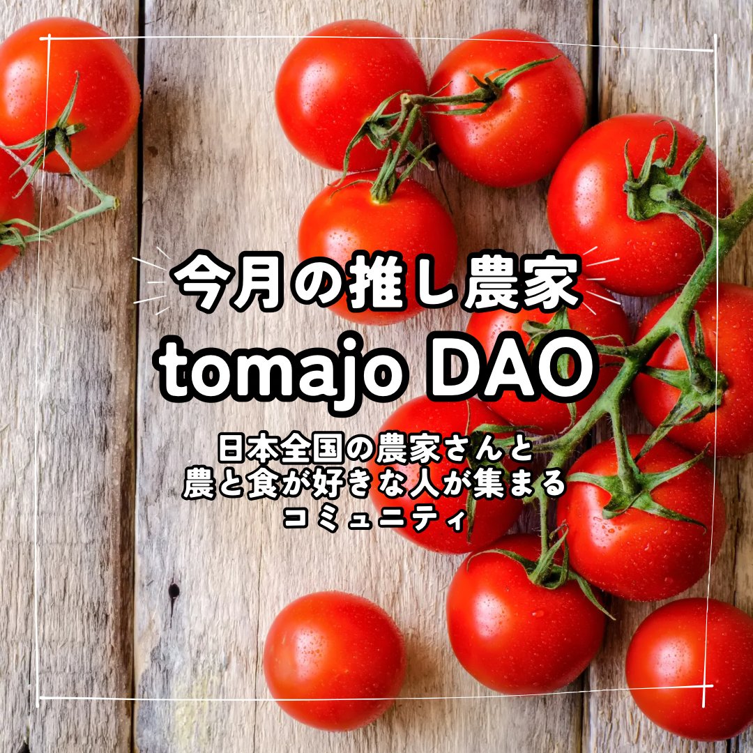11月1日はtomajoの日！
----11月の推し農家----
農業系コミュニティtomajo DAO

今月は、tomajo DAOに関することなら、なんでもOK

ボクの好きなところが、あまりにも多すぎて書ききれません。

とにかく優しい人達の集まりです。

#tomajoDAO
#農村日和