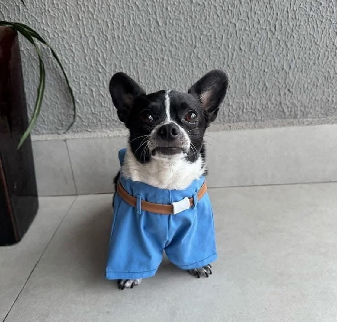 “Es oversize má, así es la moda…”