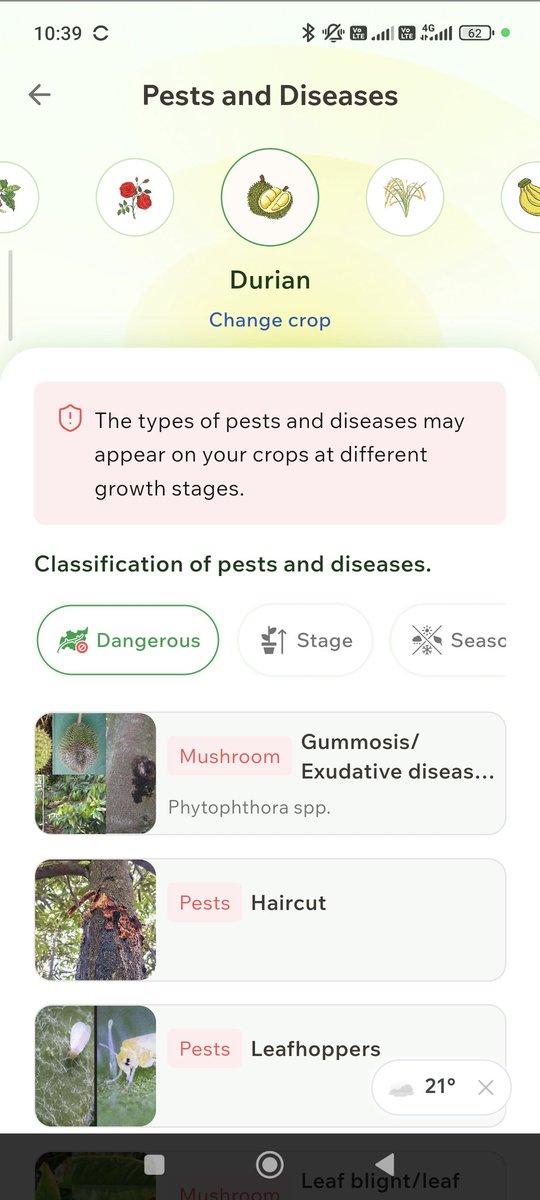 Quang Nguyen tweet media
