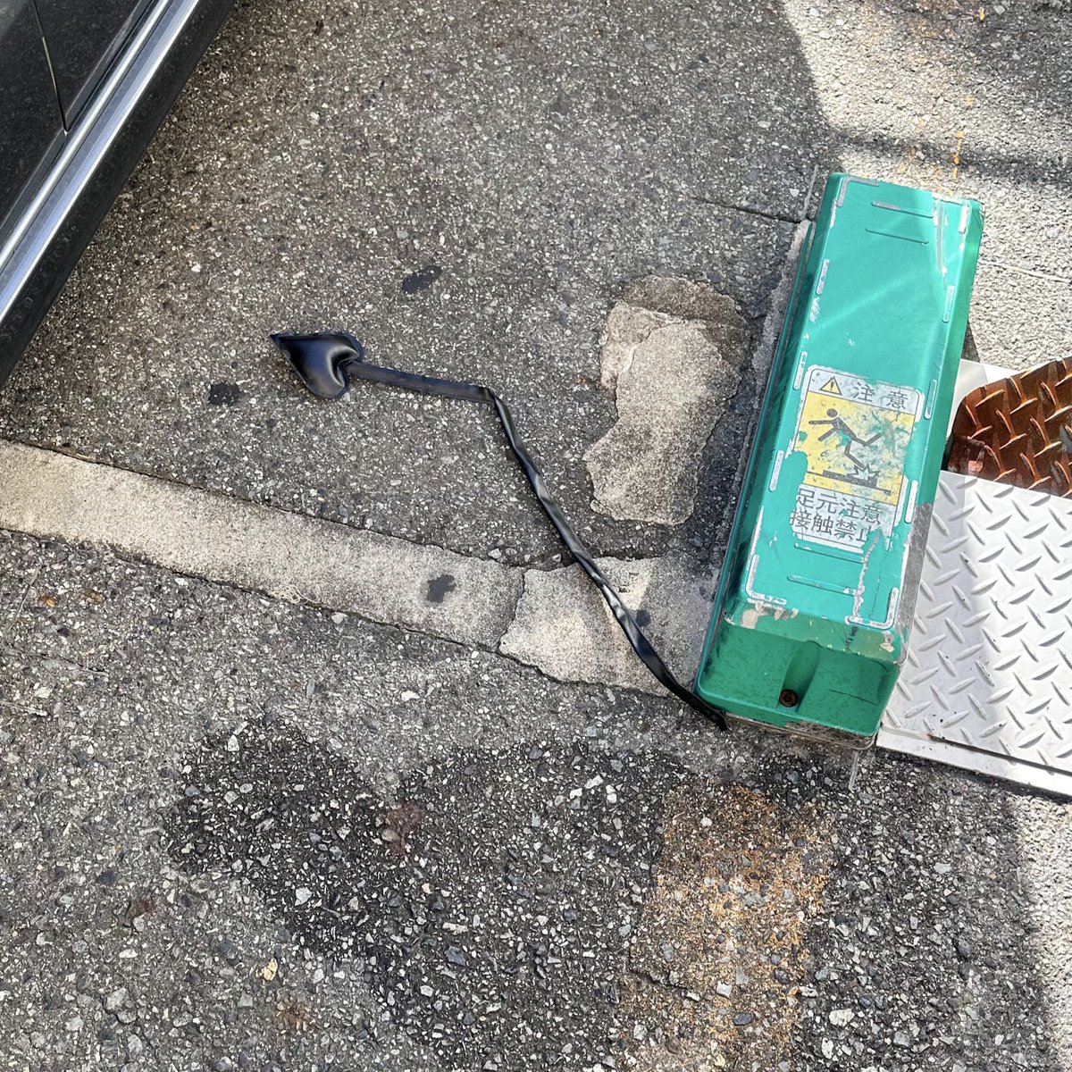 ここにサキュバスが居たようだな…🤔