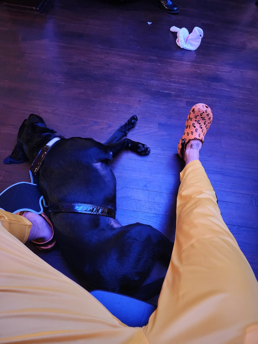 CosmosComa's tweet image. It&apos;s spooky spooky season.  Send the #batdog and #Buckazoids boy!  #Bitcoin
 @BuckazoidsWorld @BitcoinMagazine