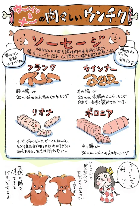 11/1は、ソーセージの日なので、大昔に描いた肉肉しいうんちくイラスト再掲。魚肉ソーセージとは言うけど、魚肉ウインナーと言わないのは、こういうわけです。

#ソーセージの日 