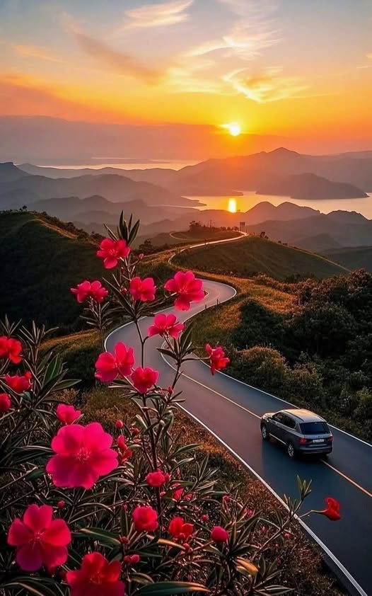 للهم اجعل هذا الصباح بداية خير، وراحة بال، وبركة في كل خطوة....اللهم  ارزقنا من الخير فوق ما نرجو، ومن الفرح أكثر مما نحلم.
اسعد الله صباحكم بكل خير ايها الاخوة الاعزاء🌺☕