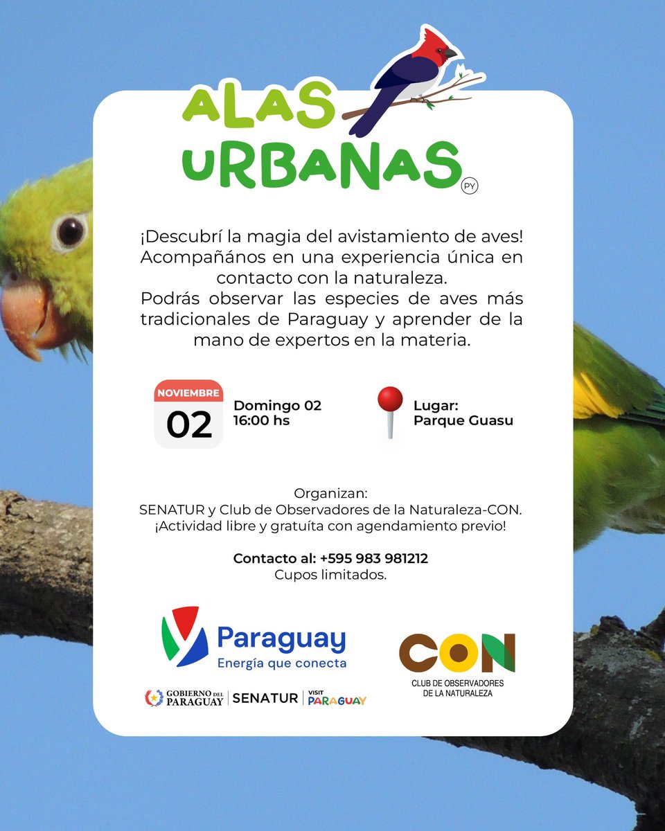 Senatur_Py's tweet image. 🕊️✨ ¡Viví la magia del avistamiento de aves!
Te invitamos a disfrutar de “Alas Urbanas”, una experiencia única de conexión con la naturaleza. 🌿
Observá las especies más tradicionales de Paraguay y aprendé junto a expertos en el tema.
📅 Domingo 2 de noviembre
🕓 16:00 hs
📍…