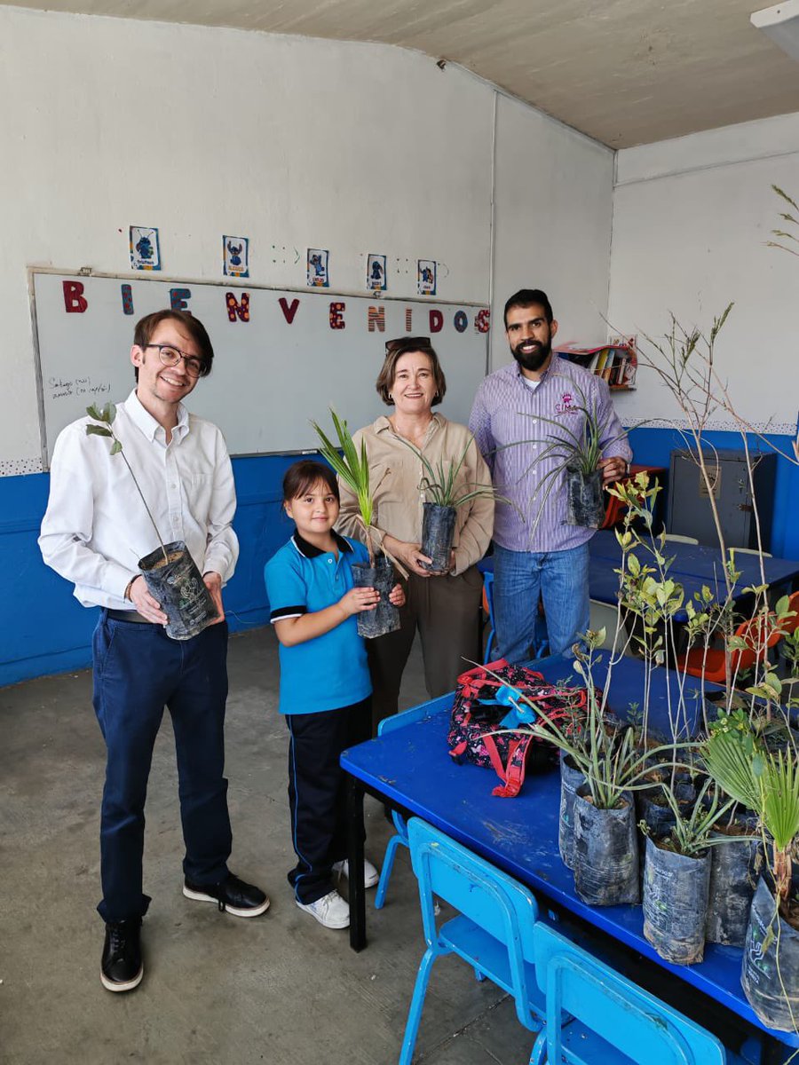 🌳 Concluimos la campaña “Chihuahua Minero de Raíz” entregando +20,000 árboles en más de 10 municipios. 🌱
Gracias a todos los que se sumaron a esta iniciativa por la sustentabilidad. 💚
#OrgullosamenteMineros #CLUMIN #ChihuahuaMineroDeRaíz
