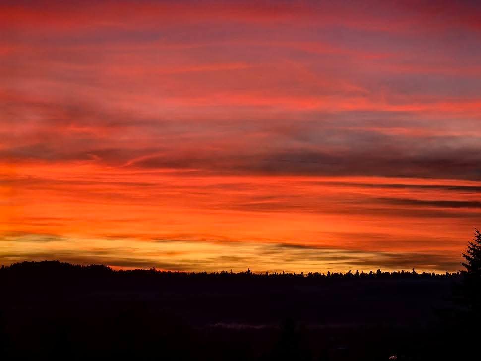 I przemija październik.

Fot. Marcin Scelina

#las #Bieszczady