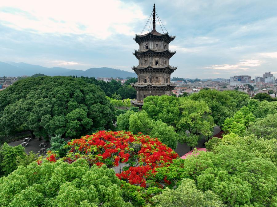 XHNews's tweet image. Chinese cities Quanzhou and Wuxi have been added to the #UNESCO Creative Cities Network, one for "#gastronomy" and the other for "music." Welcome to China! xhtxs.cn/7SQ