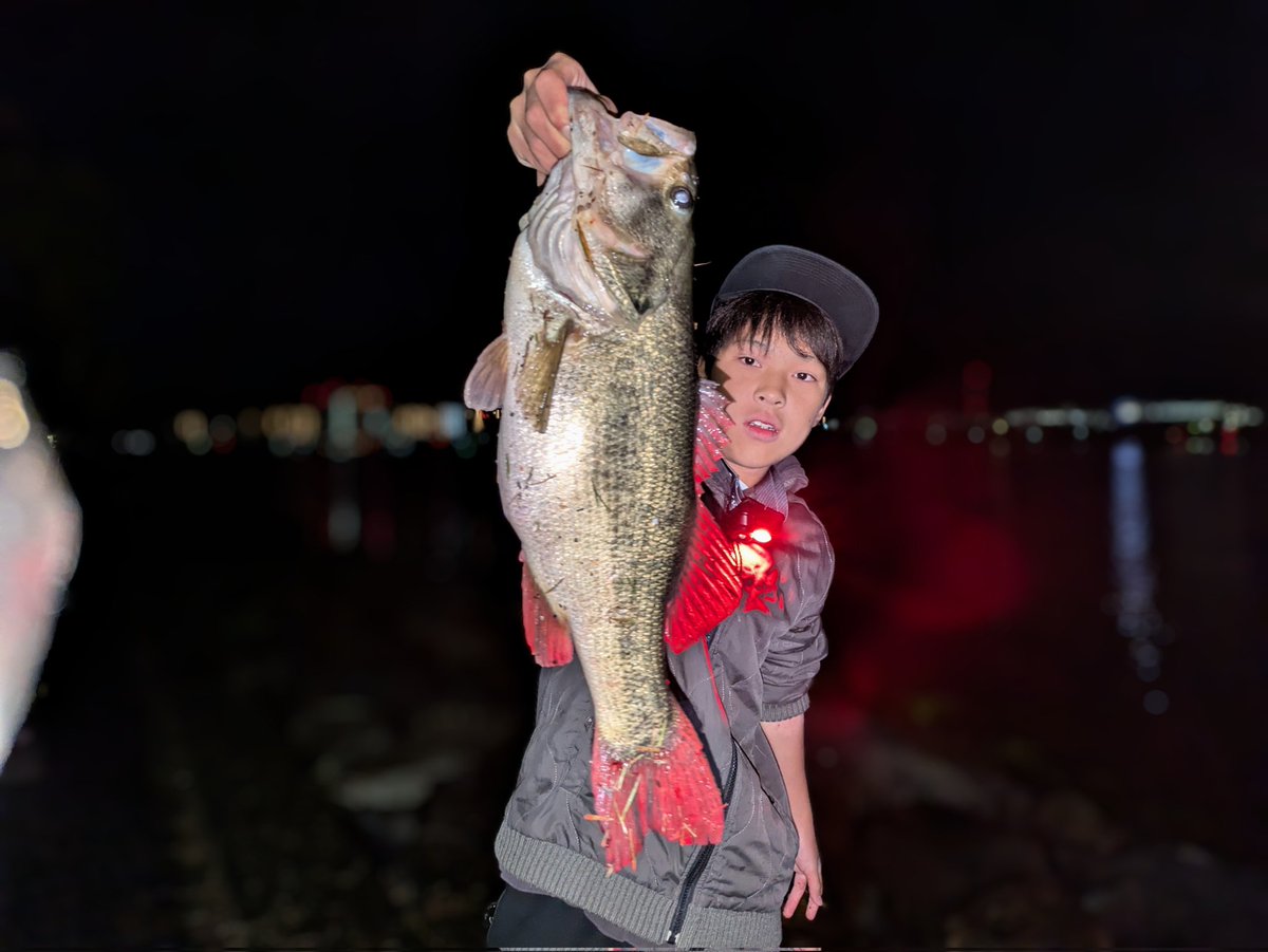 バス釣り - Search / X