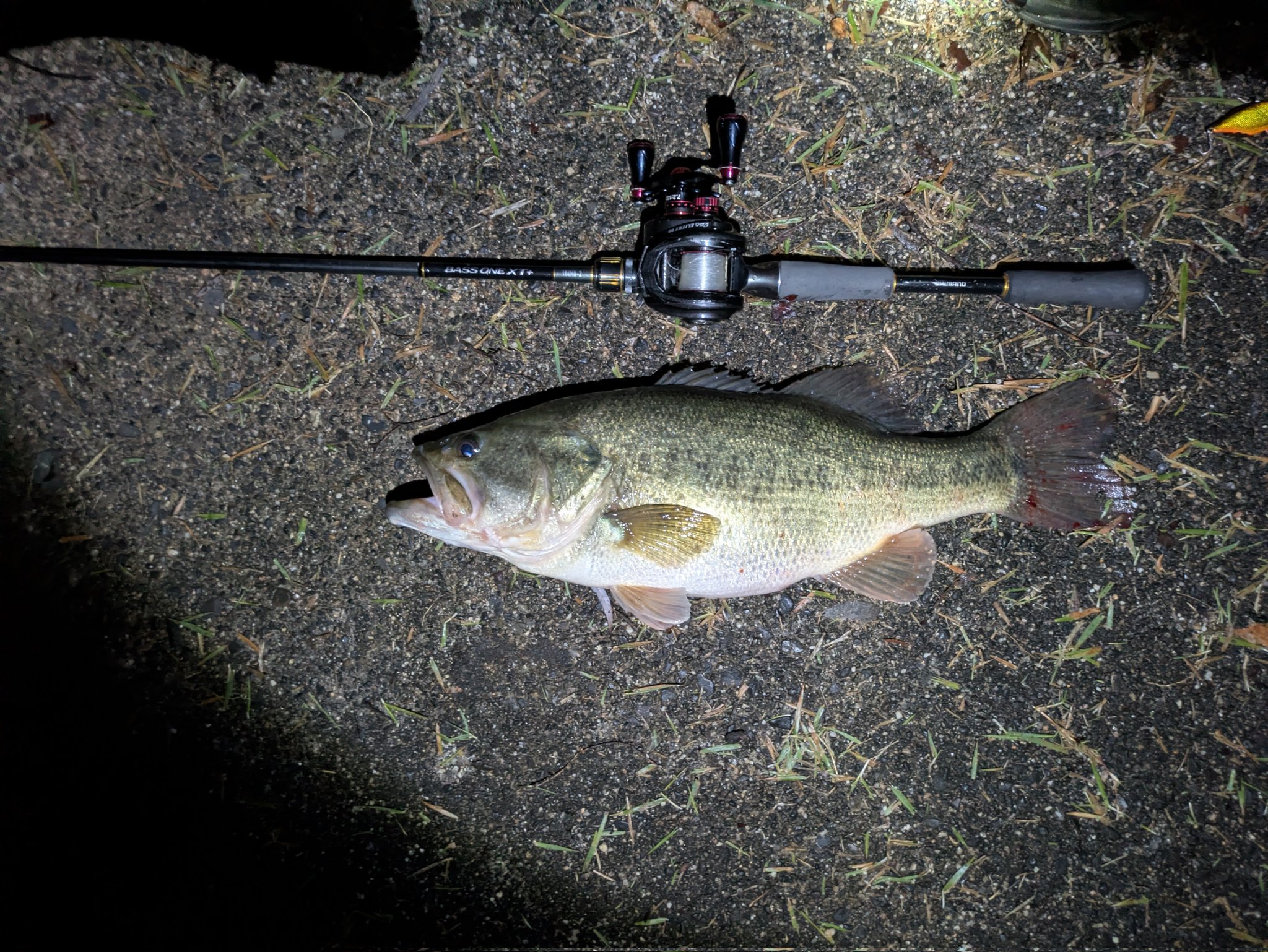 バス釣り バス釣り - Search / X