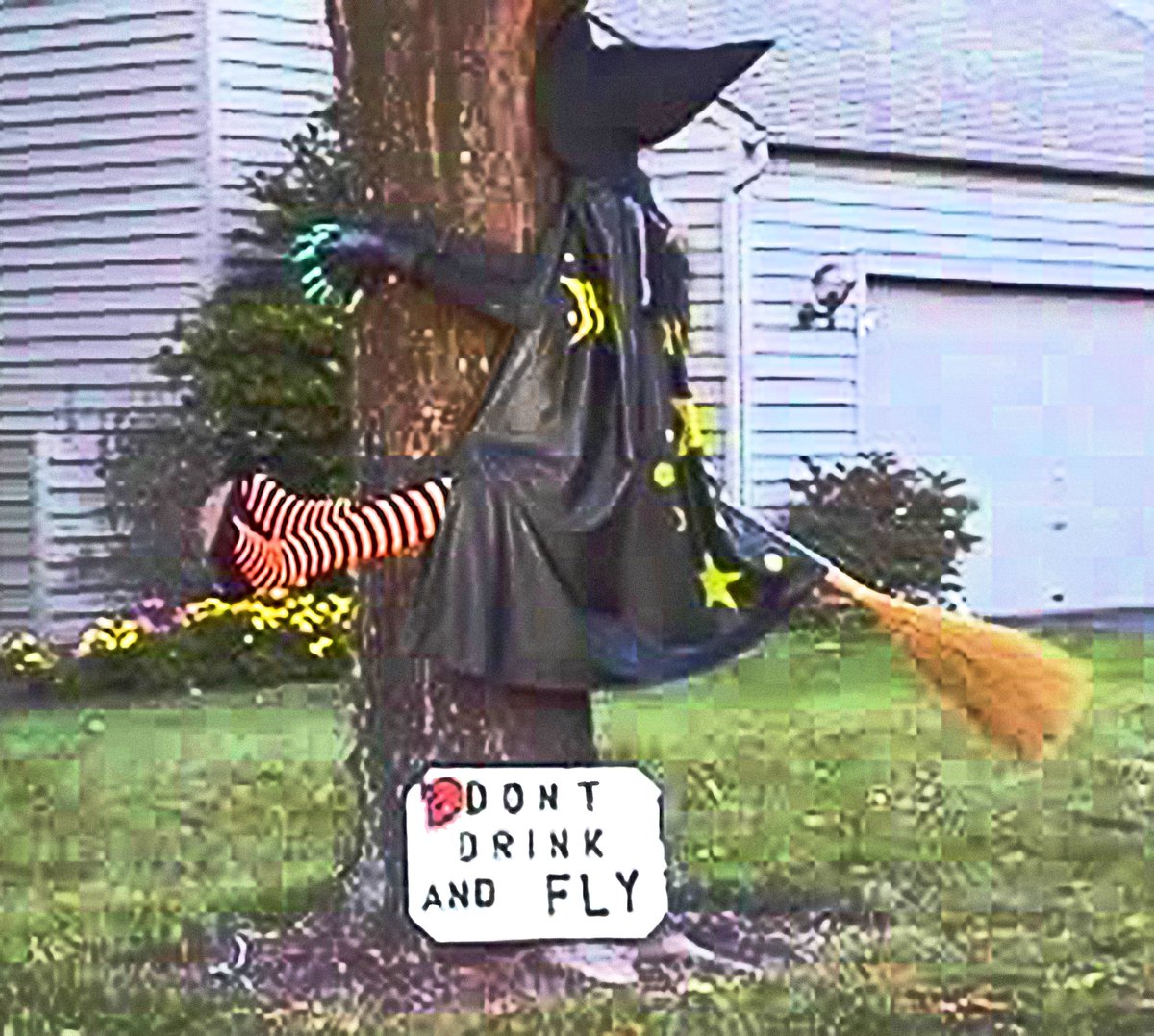 🔥Noche de Samhain:
EL MEME DE CADA AÑO