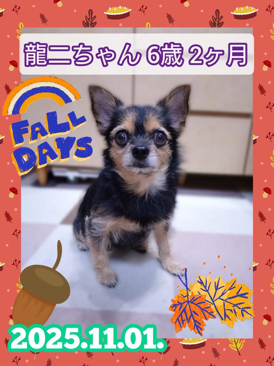 龍ちゃんズとよっちゃんみっちゃん (@ryuchan123bro) / Posts / X