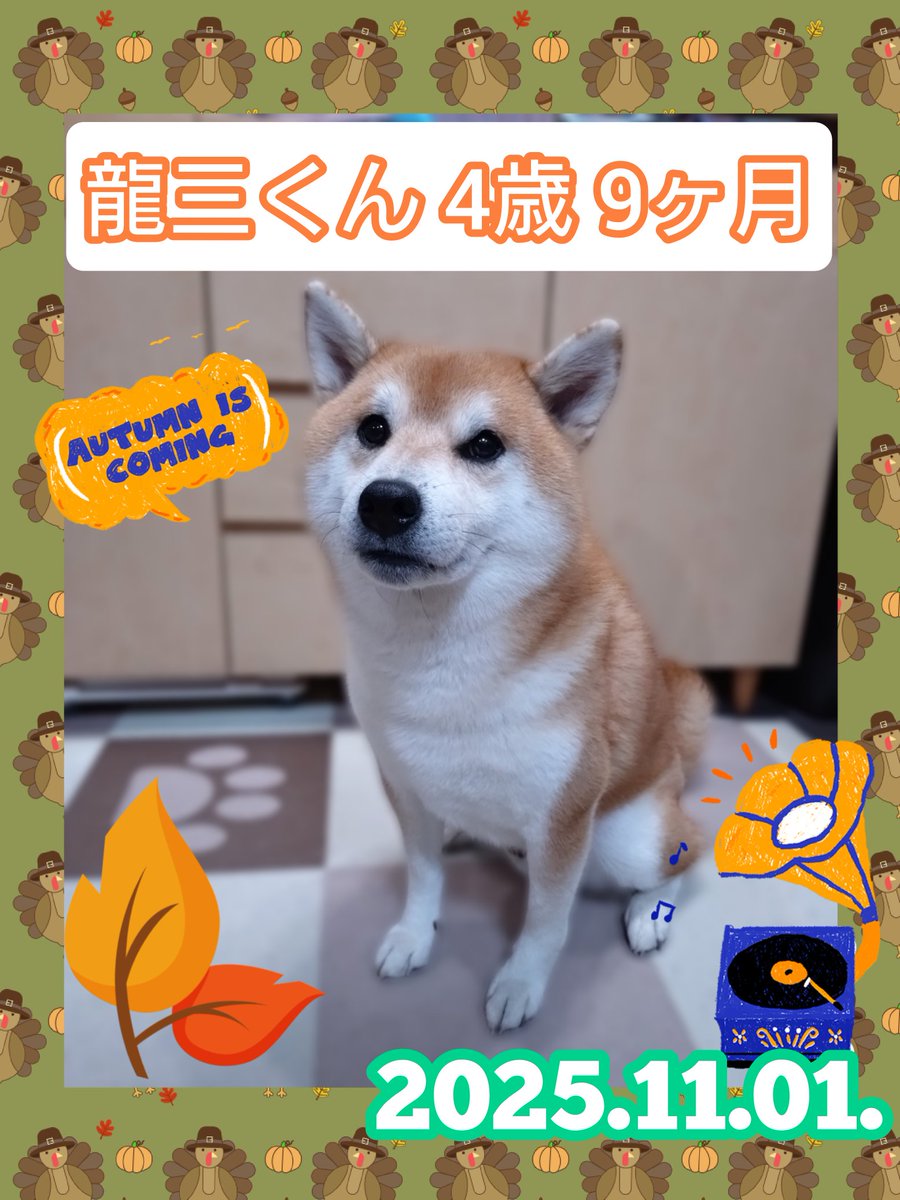 龍ちゃんズとよっちゃんみっちゃん (@ryuchan123bro) / Posts / X