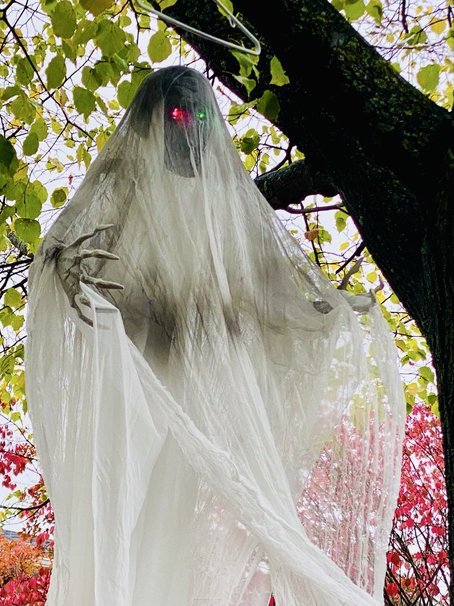 VisibleThink's tweet image. Big rain, cold wind we are on, #HalloweenVibes lots of spirits here.
Hoping the Jays can dampen some
Dodger spirits later tonight..