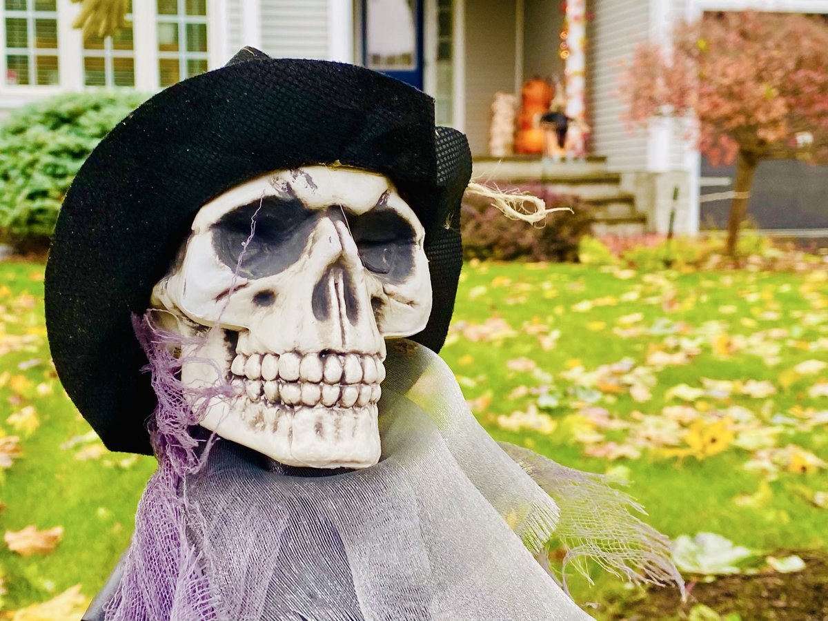 VisibleThink's tweet image. Big rain, cold wind we are on, #HalloweenVibes lots of spirits here.
Hoping the Jays can dampen some
Dodger spirits later tonight..