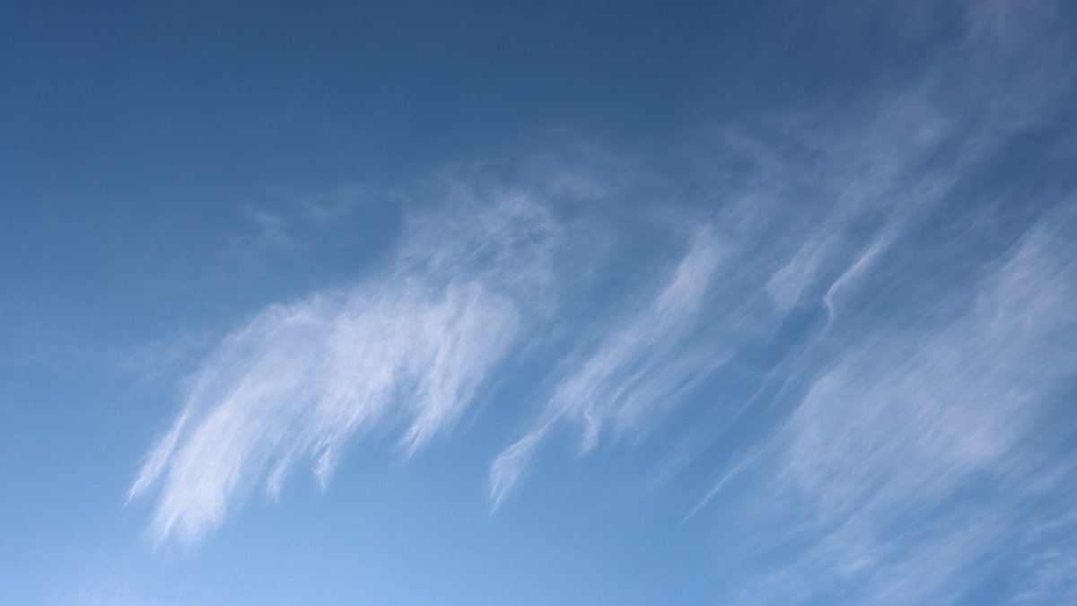 おはわぴちゃん🐰🎀

台風一過ならぬ
「低気圧一過」とでも
表したくなるような
さわやかな青空٩✨(◍´▽`◍)۶✨

今日から11月だね🍁
みんな11月もなかよくしてね(,,>᎑<,,)💞

そして応援してね(⁠◍⁠•⁠᎑⁠•⁠◍⁠)⁠えへ🎵