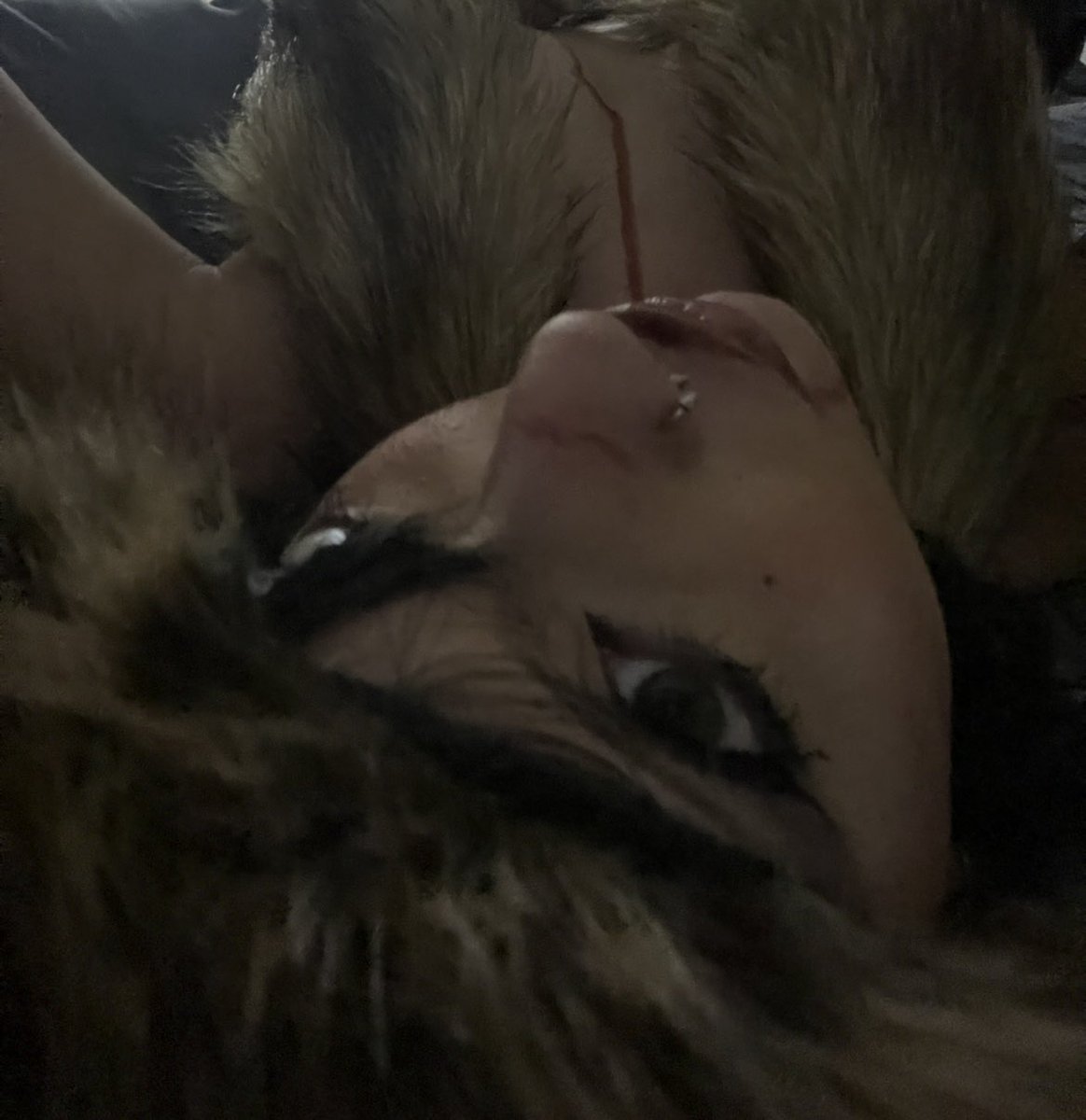 l_4l_'s tweet image. Wolf