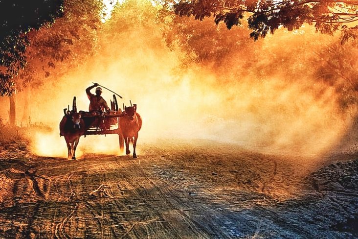 संघर्ष का अकेलापन जो काटता है।
वहीं दुनिया को उजाला बांटता है।

आप सभी को प्रातः वंदन..!
सुप्रभात | Good Morning 
            🌅🔥🙏