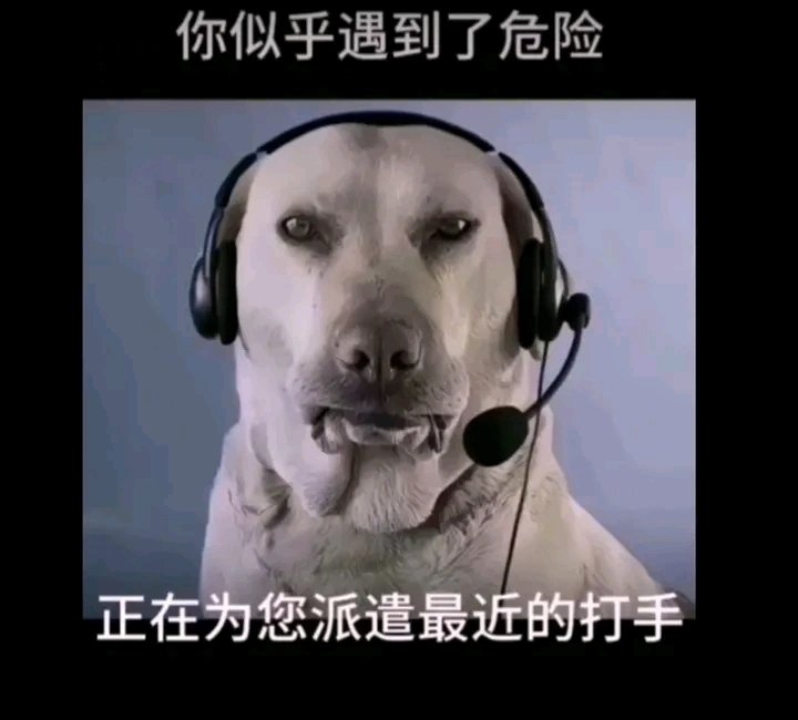 当场改密码了
忘了改密码 之前共号的又在瞎jb登我号 我说怎么一大早起来怎么还有问这问那的