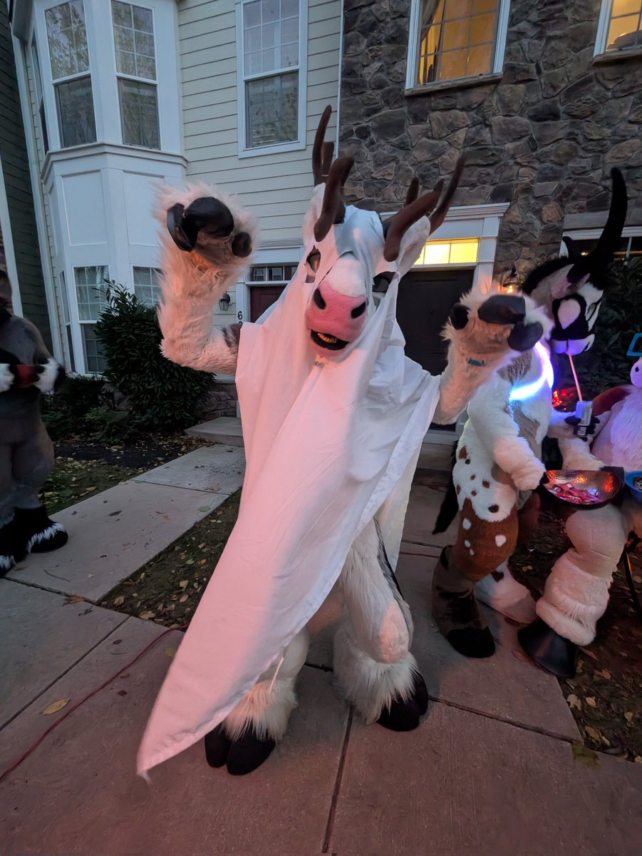 Røͩʀͤᴇͤᴋͬ 🔜 TFF tweet media