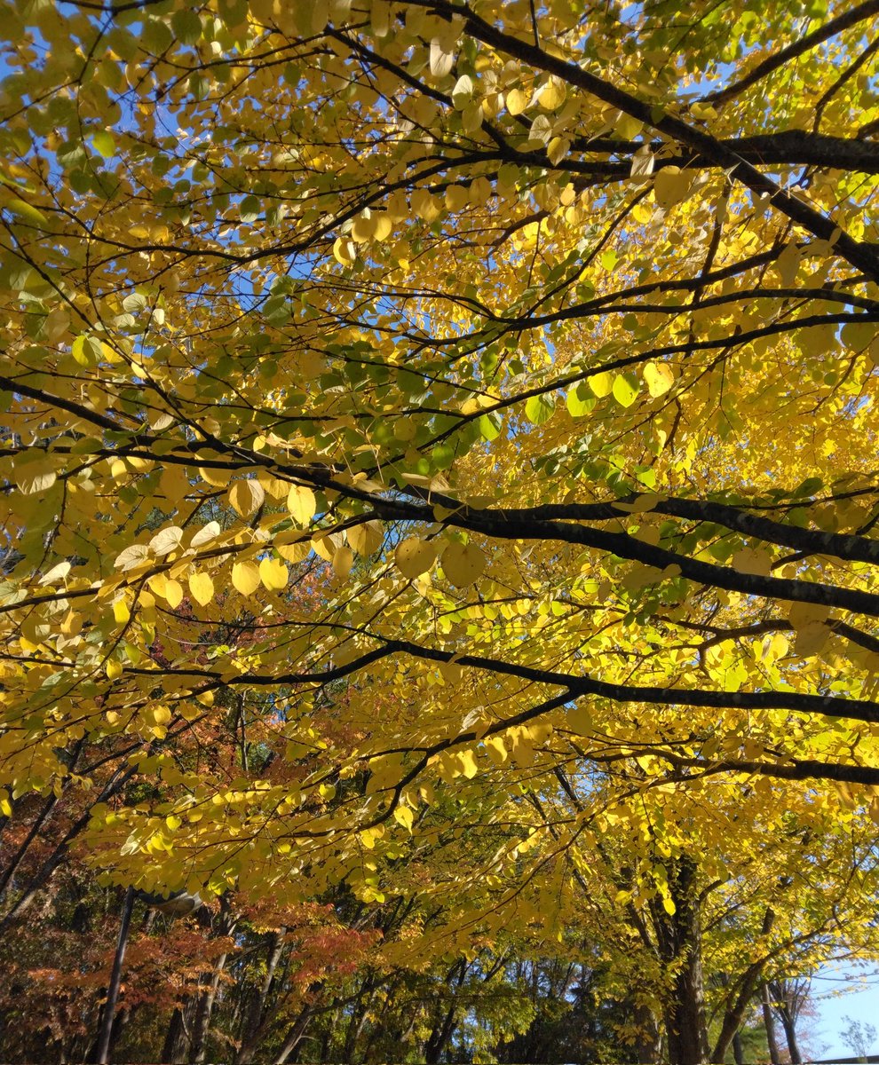 minb2kZDxr (みん) on X