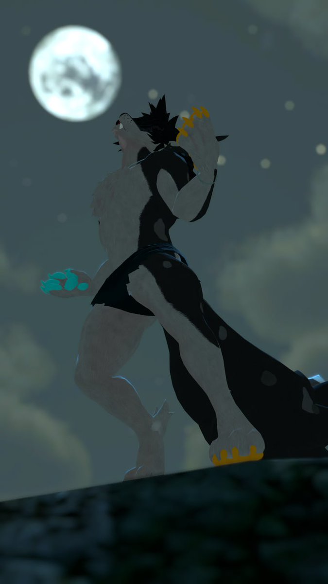 Zora 🦊 tweet media