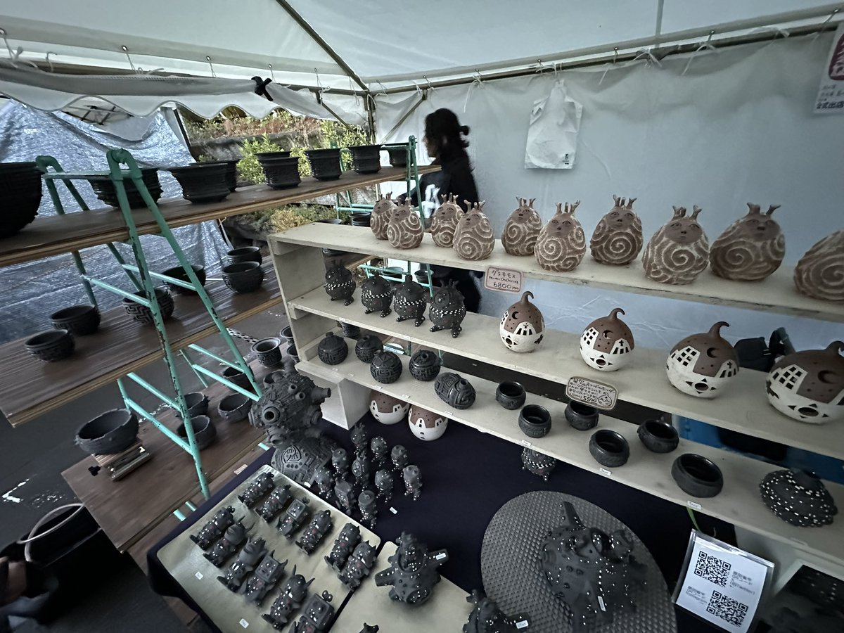 SO🎣🐟🌵🐢 on X