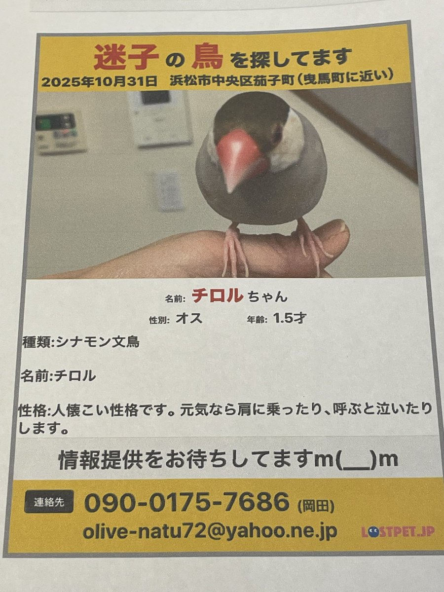 ADAMat1026's tweet photo. アダムスキーからの捜索願い👀

浜松の皆様、もし文鳥のチロルちゃんをお見かけしたら連絡してあげてください🙏 https://t.co/hDVBhj3hcG