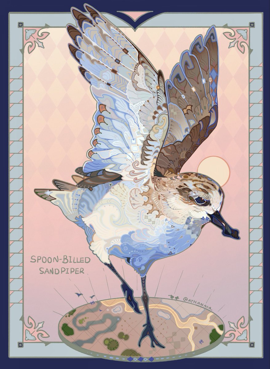 The dancer of the tidal flat🪶

#bird #animalart #illustration #artwork #digitalart #originalart