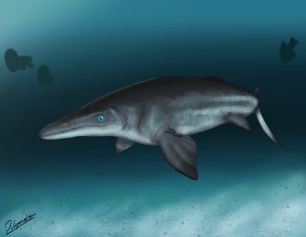 Que tal paleobanda?! Hoy traemos nueva ilustración, se trata un nuevo registro de mosasaurio para Colombia, el plioplatecarpino Oneirosaurus caballeroi

revistas.unal.edu.co/index.php/esrj…

#paleoart #cretaceous #mosasaur #colombia #Paleontology