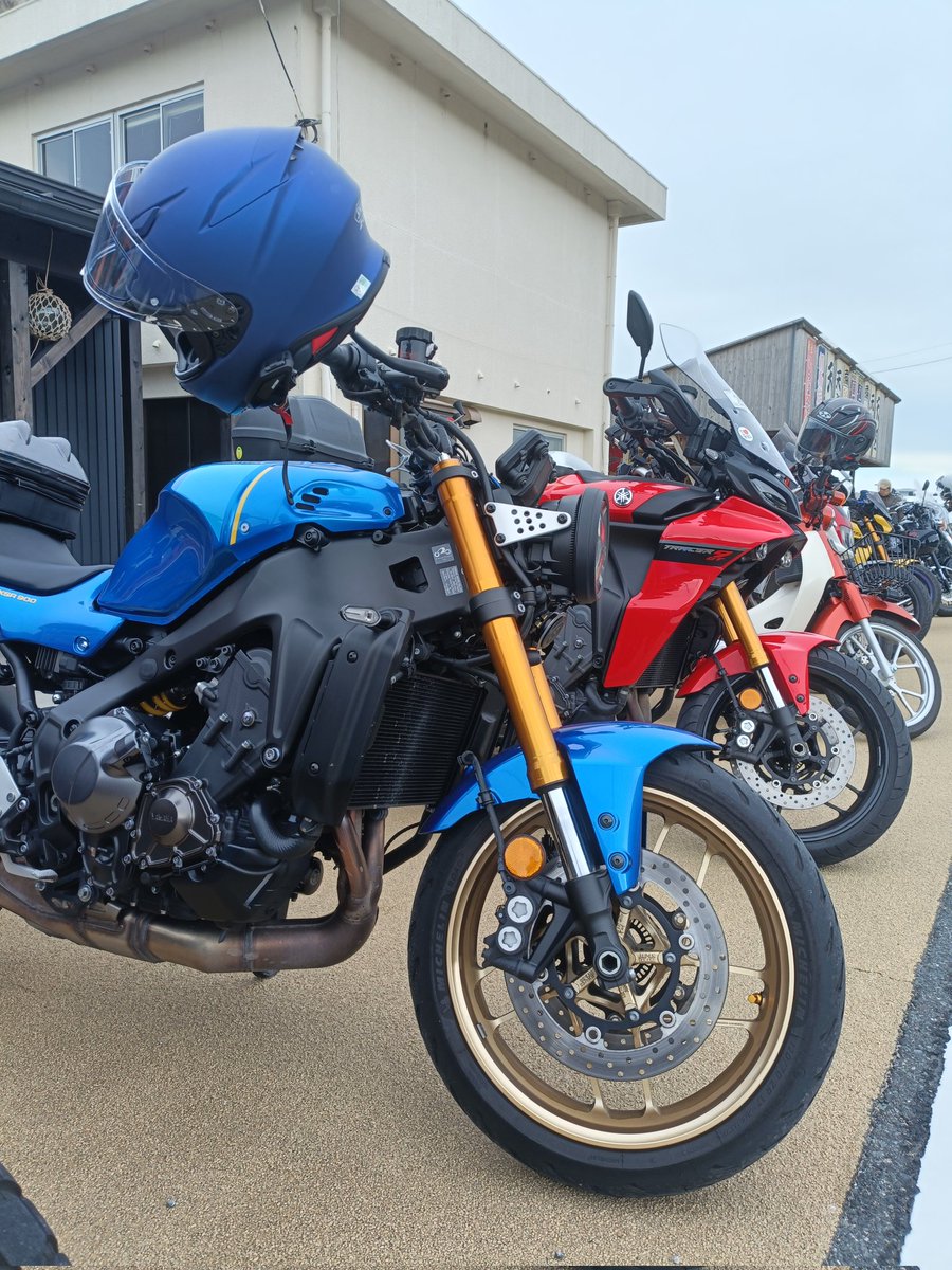 パルママページ fa46732df775819c514963618e945f