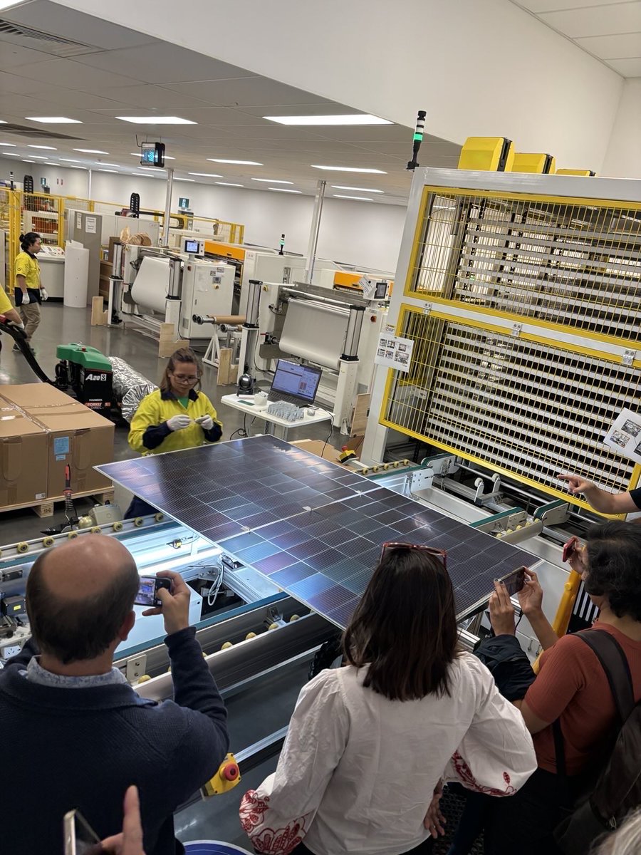 Will Nankervis tweet media