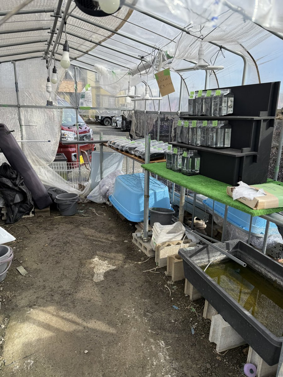 おはようございます。
無人セットしました。
メチャクチャ安くだしてます