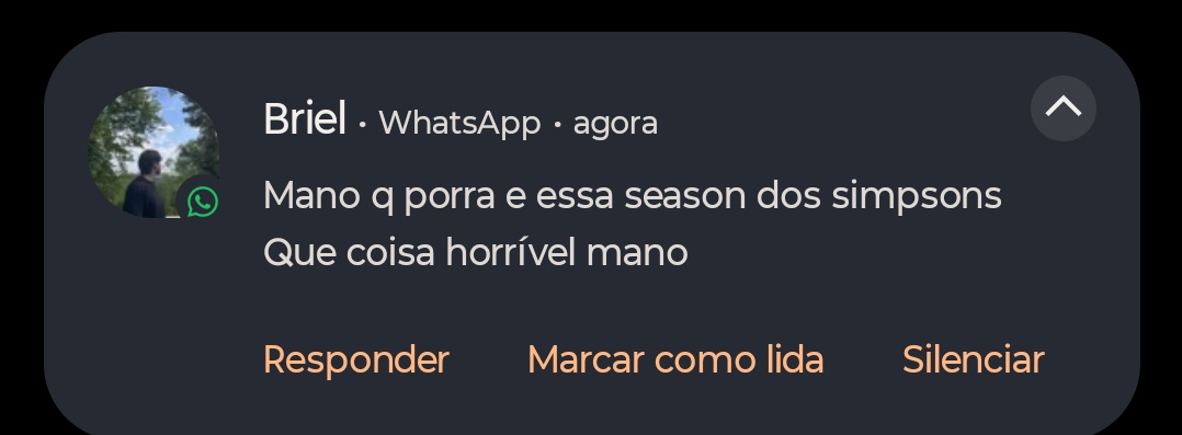 ruimerdadas's tweet image. 