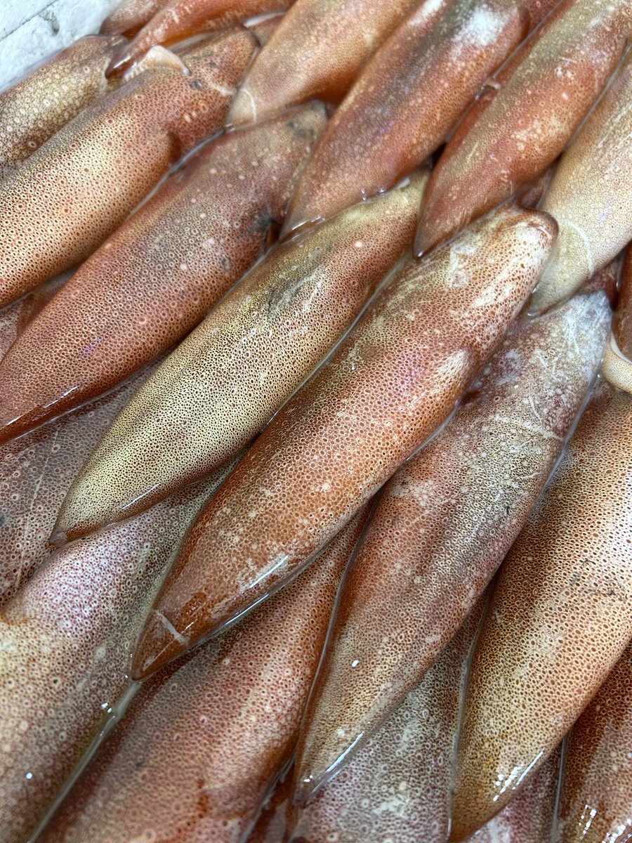 魚虎 うおとら on X