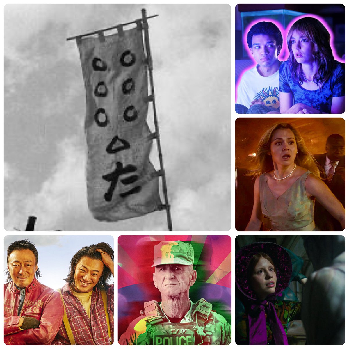 本日ラストチャンス❗️超絶希少❗️ムサノノピンクバリエガータ 新葉展開中✨️ Stream Touhou 東方 Innocent Key - Immoral Sister [背徳姉妹